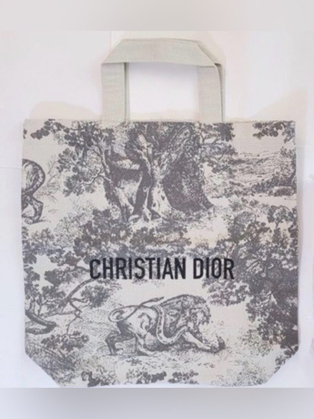 🍂Dior Gray Canvas Tote🍂